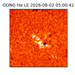gong - 2026-08-02T05:00:42