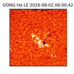 gong - 2026-08-02T06:00:42