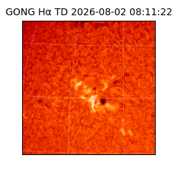 gong - 2026-08-02T08:11:22