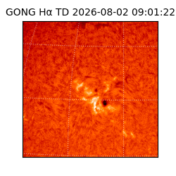 gong - 2026-08-02T09:01:22