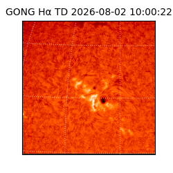 gong - 2026-08-02T10:00:22