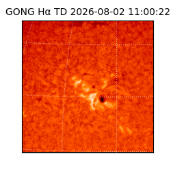 gong - 2026-08-02T11:00:22