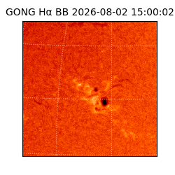 gong - 2026-08-02T15:00:02