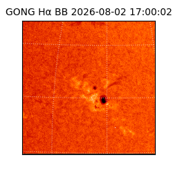 gong - 2026-08-02T17:00:02