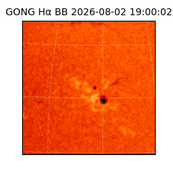 gong - 2026-08-02T19:00:02