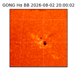 gong - 2026-08-02T20:00:02