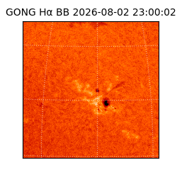 gong - 2026-08-02T23:00:02