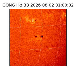gong - 2026-08-02T01:00:02