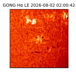gong - 2026-08-02T02:00:42
