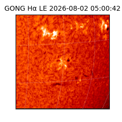 gong - 2026-08-02T05:00:42