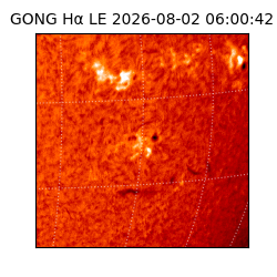 gong - 2026-08-02T06:00:42