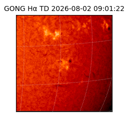 gong - 2026-08-02T09:01:22