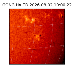 gong - 2026-08-02T10:00:22
