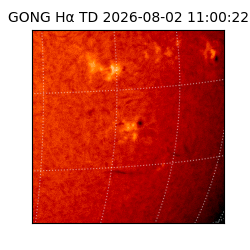 gong - 2026-08-02T11:00:22