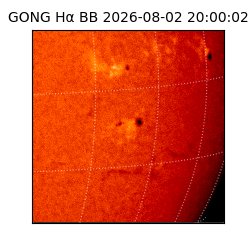 gong - 2026-08-02T20:00:02