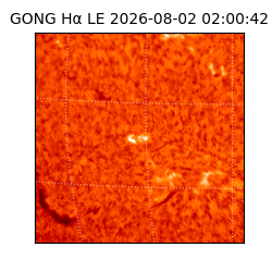 gong - 2026-08-02T02:00:42