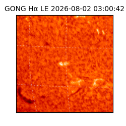 gong - 2026-08-02T03:00:42