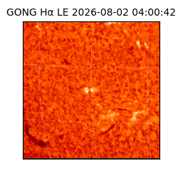 gong - 2026-08-02T04:00:42