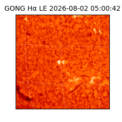 gong - 2026-08-02T05:00:42