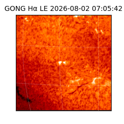 gong - 2026-08-02T07:05:42
