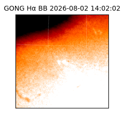 gong - 2026-08-02T14:02:02