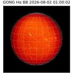 gong - 2026-08-02T01:00:02