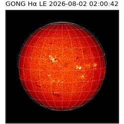 gong - 2026-08-02T02:00:42
