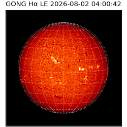 gong - 2026-08-02T04:00:42
