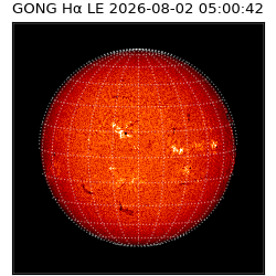 gong - 2026-08-02T05:00:42