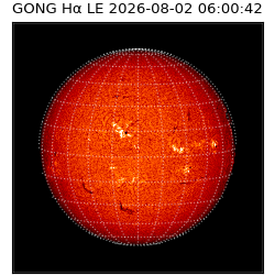 gong - 2026-08-02T06:00:42