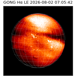 gong - 2026-08-02T07:05:42