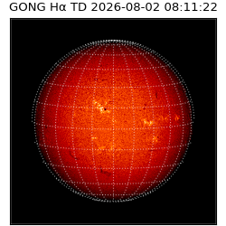 gong - 2026-08-02T08:11:22