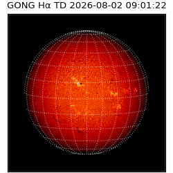 gong - 2026-08-02T09:01:22