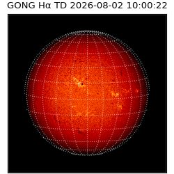 gong - 2026-08-02T10:00:22
