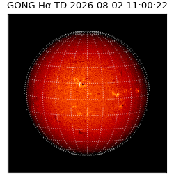 gong - 2026-08-02T11:00:22