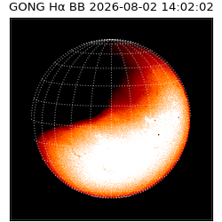 gong - 2026-08-02T14:02:02