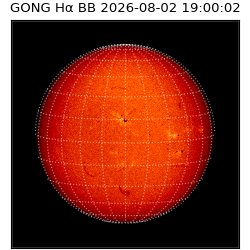 gong - 2026-08-02T19:00:02