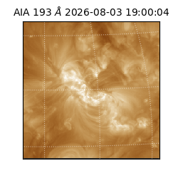 saia - 2026-08-03T19:00:04.842000