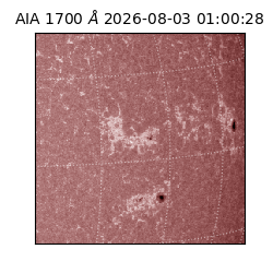 saia - 2026-08-03T01:00:28.717000