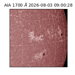 saia - 2026-08-03T09:00:28.716000