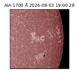 saia - 2026-08-03T19:00:28.717000