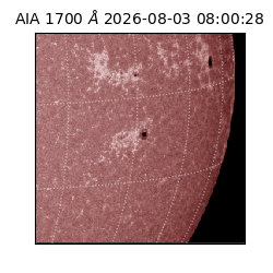 saia - 2026-08-03T08:00:28.717000