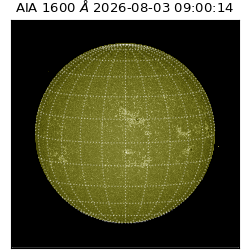 saia - 2026-08-03T09:00:14.135000