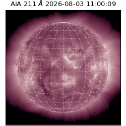 saia - 2026-08-03T11:00:09.624000