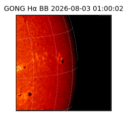 gong - 2026-08-03T01:00:02