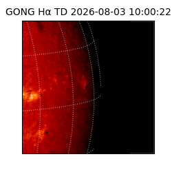 gong - 2026-08-03T10:00:22