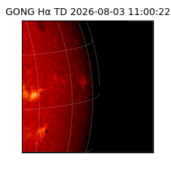 gong - 2026-08-03T11:00:22