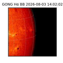 gong - 2026-08-03T14:02:02