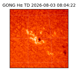 gong - 2026-08-03T08:04:22