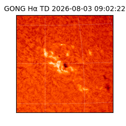 gong - 2026-08-03T09:02:22